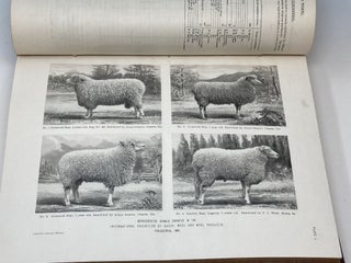 DEPARTMENT OF AGRICULTURE REPORT UPON AN EXAMINATION OF WOOLS AND OTHER ANIMAL FIBERS; Made under the Direction of the Commissioner of Agriculture