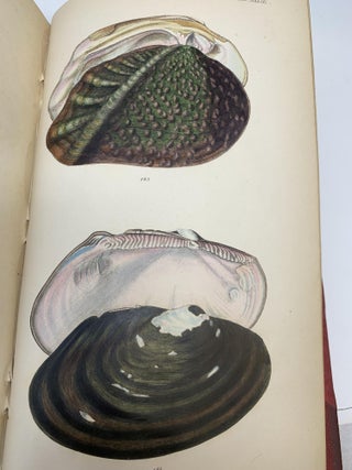 INITIAMENTA CONCHOLOGICA OR ELEMENTS OF CONCHOLOGY, COMPRISING THE PHYSIOLOGICAL HISTORY OF SHELLS AND THEIR MOLLUSCOUS INHABITANTS, THEIR STRUCTURE, GEOGRAPHICAL DISTRIBUTION, HABITS, CHARACTERS, AFFINITIES, ARRANGEMENT, AND ENUMERATION OF SPECIES