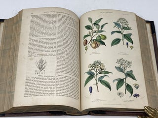 THE HISTORY OF THE VEGETABLE KINGDOM, EMBRACING COMPREHENSIVE DESCRIPTIONS OF THE PLANTS MOST INTERESTING FROM THEIR USES TO MAN AND THE LOWER ANIMALS; THEIR APPLICATION IN THE ARTS, MANUFACTURES, MEDICINE, AND DOMESTIC ECONOMY; AND FROM THEIR BEAUTY OR PECULIARITIES; TOGETHER WITH THE PHYSIOLOGY, GEOGRAPHICAL DISTRIBUTION, AND CLASSIFICATION OF PLANTS; Illustrated with Several Hundred Figures, Many of them Coloured
