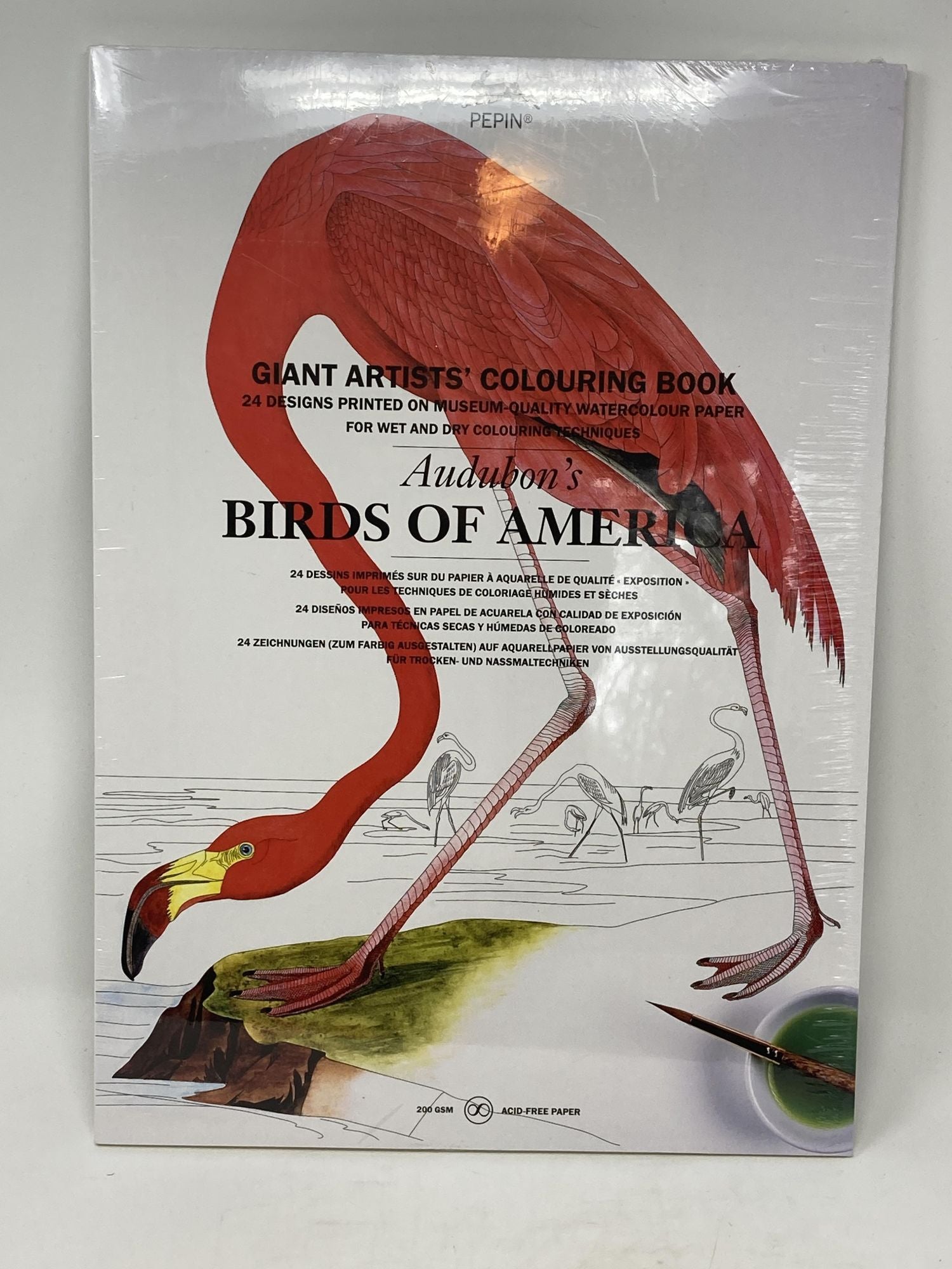 van Roojen, Pepin - Audubon's Birds of America : Giant Artists' Colouring Book (Multilingual Edition); 24 Designs Printed on Museum-Quality Watercolour Paper for Wet and Dry Colouring Techniques