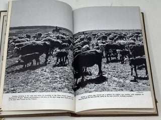CATTLE COUNTRY OF PETER FRENCH