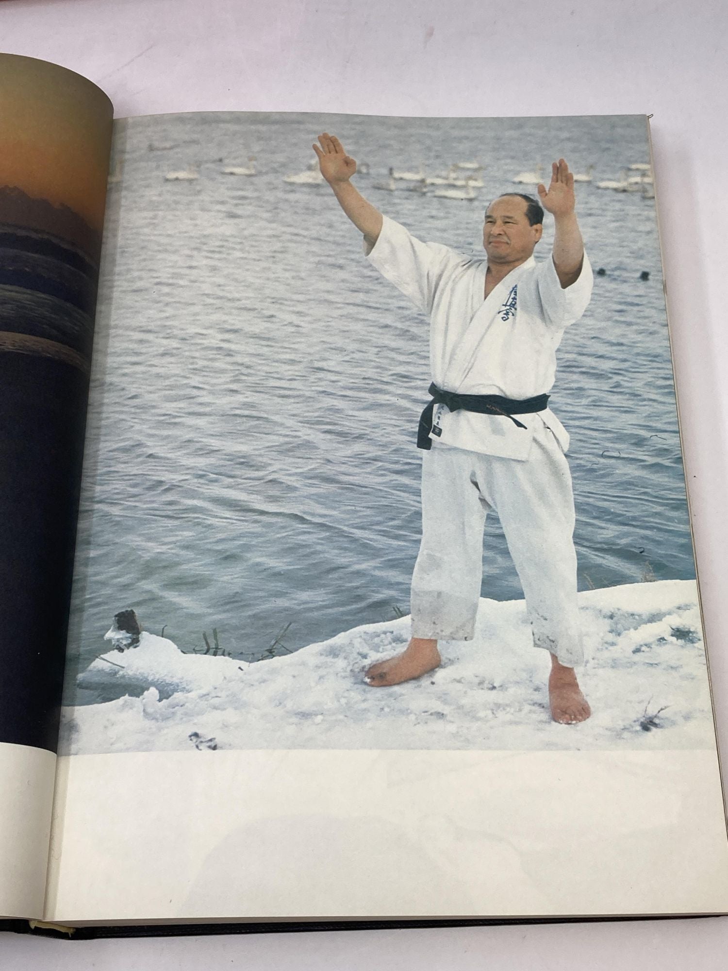 THIS IS KARATE by Masutatsu Oyama on Aardvark Rare Books, ABAA