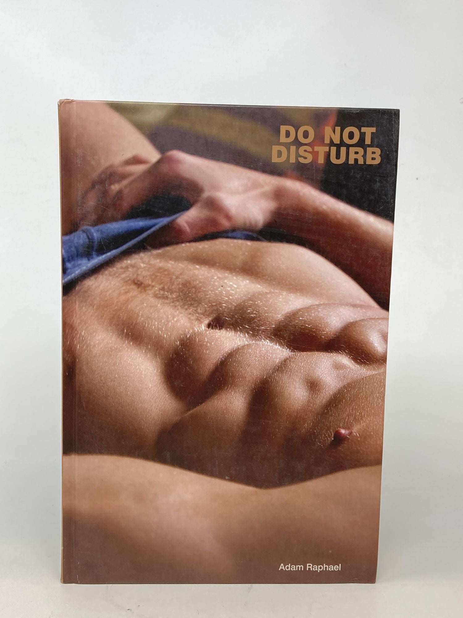 アート・デザイン・音楽Do Not Disturb  Adam Raphael